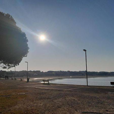 Le 322 Entre Lac Et Ocean วิเยอซ์-บูโก-เลส์-แบ็งส์ ภายนอก รูปภาพ