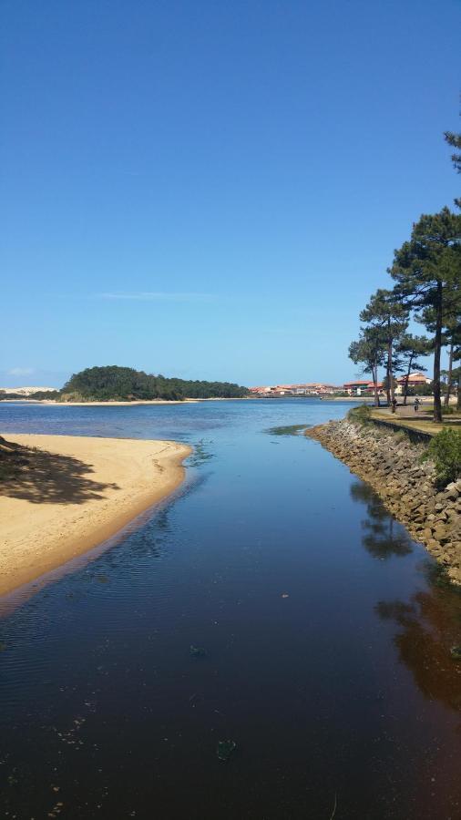 Le 322 Entre Lac Et Ocean วิเยอซ์-บูโก-เลส์-แบ็งส์ ภายนอก รูปภาพ
