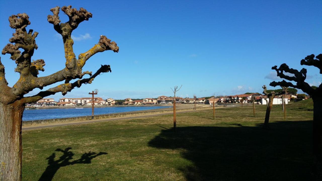 Le 322 Entre Lac Et Ocean วิเยอซ์-บูโก-เลส์-แบ็งส์ ภายนอก รูปภาพ