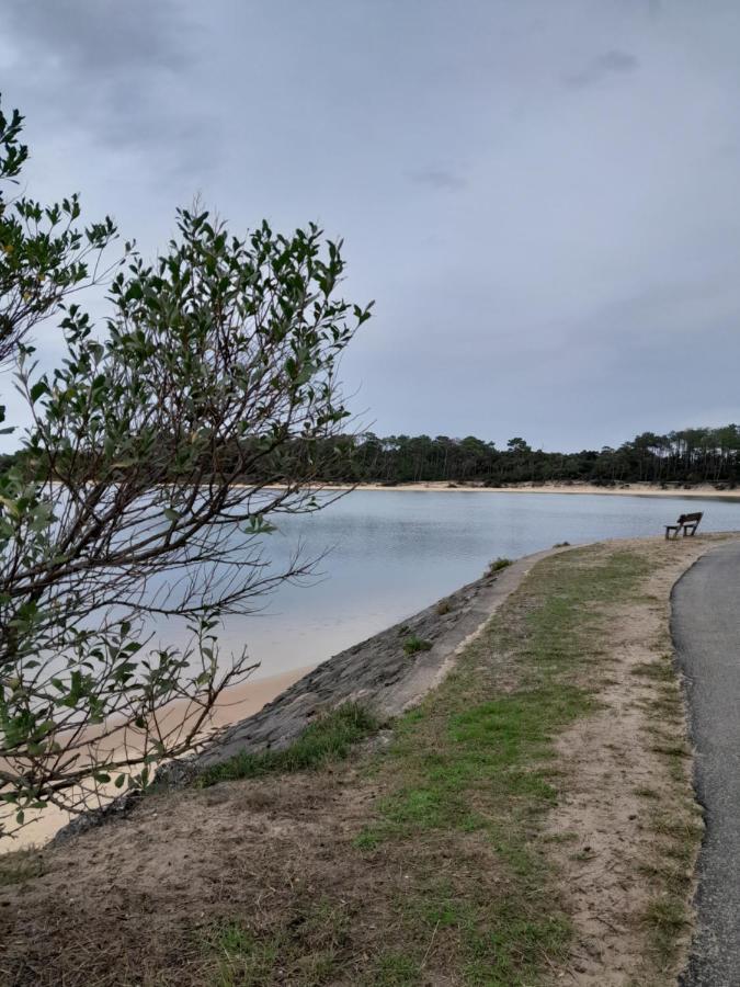 Le 322 Entre Lac Et Ocean วิเยอซ์-บูโก-เลส์-แบ็งส์ ภายนอก รูปภาพ